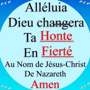 Meet your Posher, Nannan